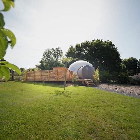 Bulles Odette & Ginette Et Tiny House Suzette "Au Guet Marais" Etape Insolite Paliseul Luaran gambar