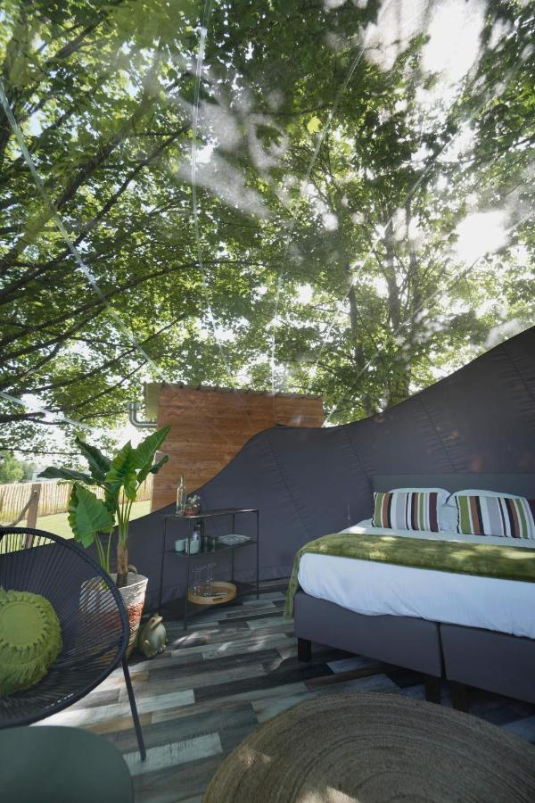 Bulles Odette & Ginette Et Tiny House Suzette "Au Guet Marais" Etape Insolite Paliseul Luaran gambar