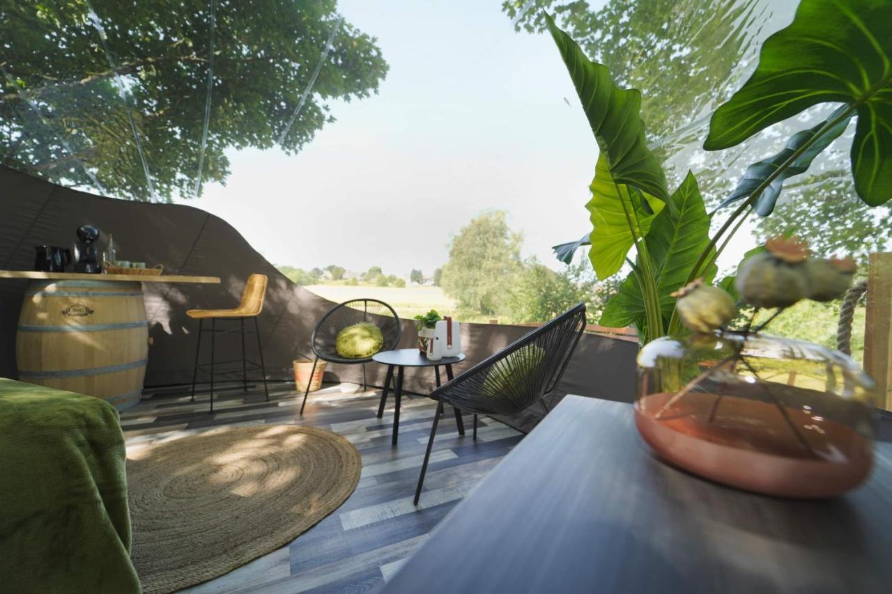 Bulles Odette & Ginette Et Tiny House Suzette "Au Guet Marais" Etape Insolite Paliseul Luaran gambar