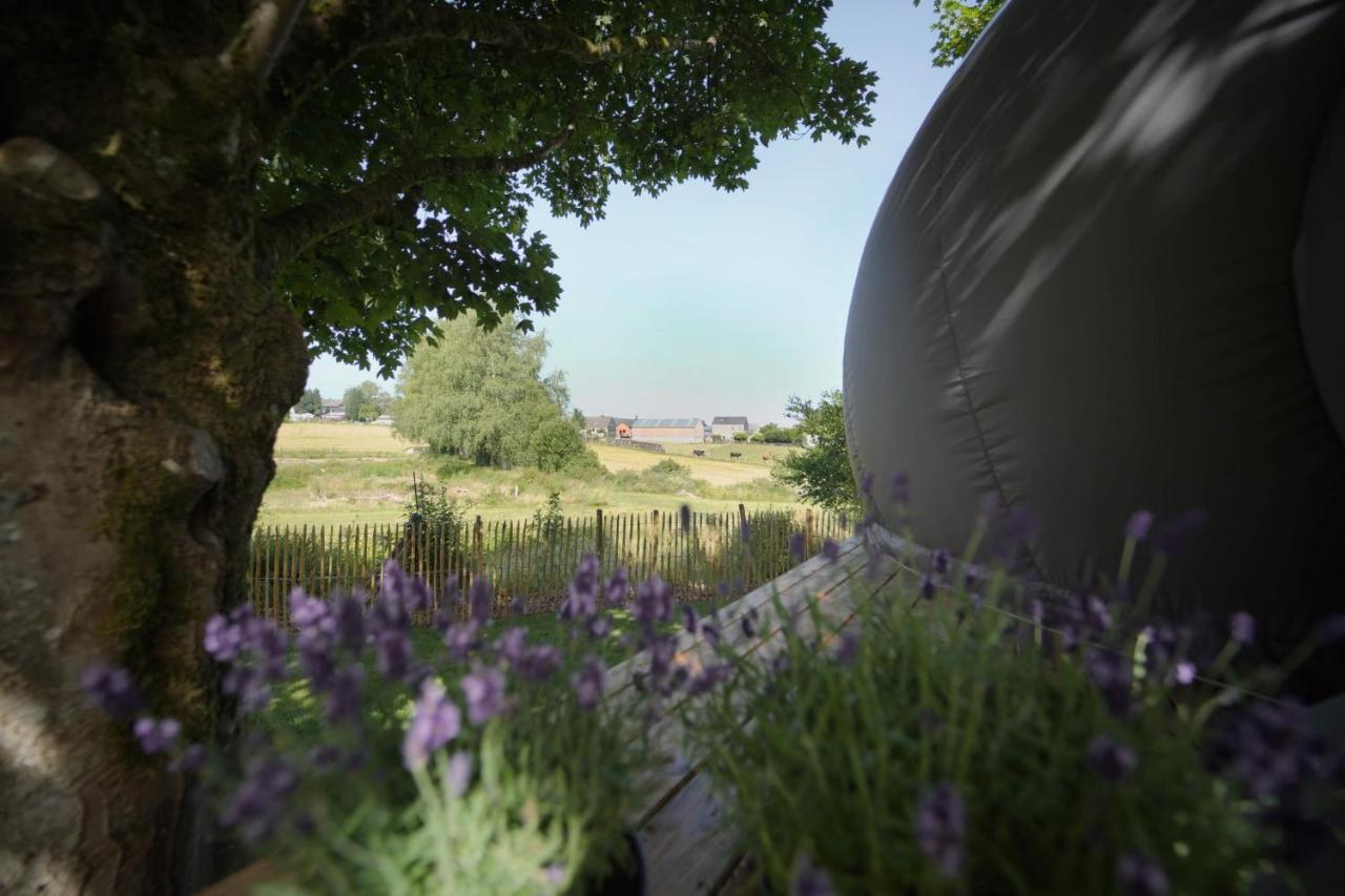 Bulles Odette & Ginette Et Tiny House Suzette "Au Guet Marais" Etape Insolite Paliseul Luaran gambar