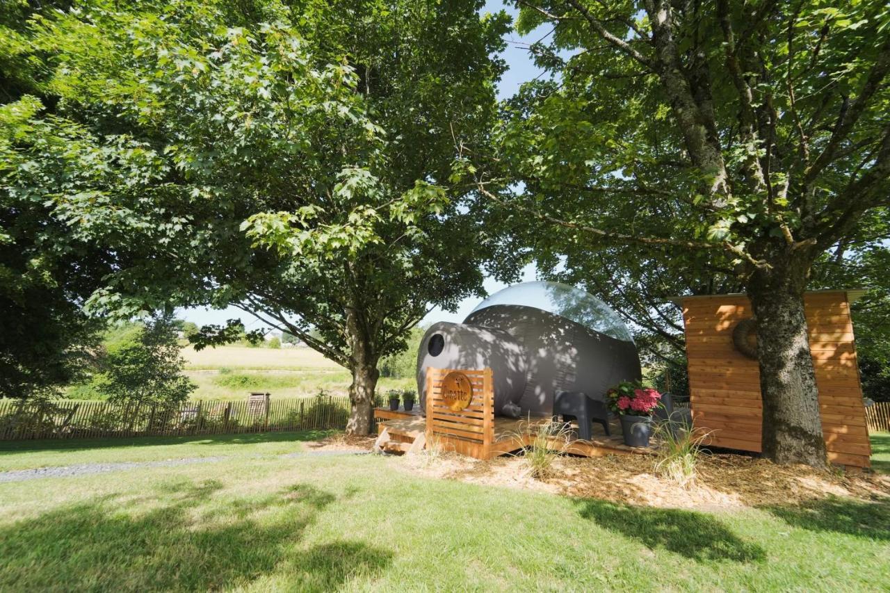 Bulles Odette & Ginette Et Tiny House Suzette "Au Guet Marais" Etape Insolite Paliseul Luaran gambar
